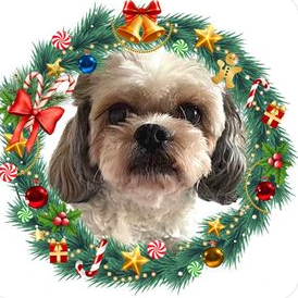 Personalized Dog Christmas Ornament For the Dog Lovers